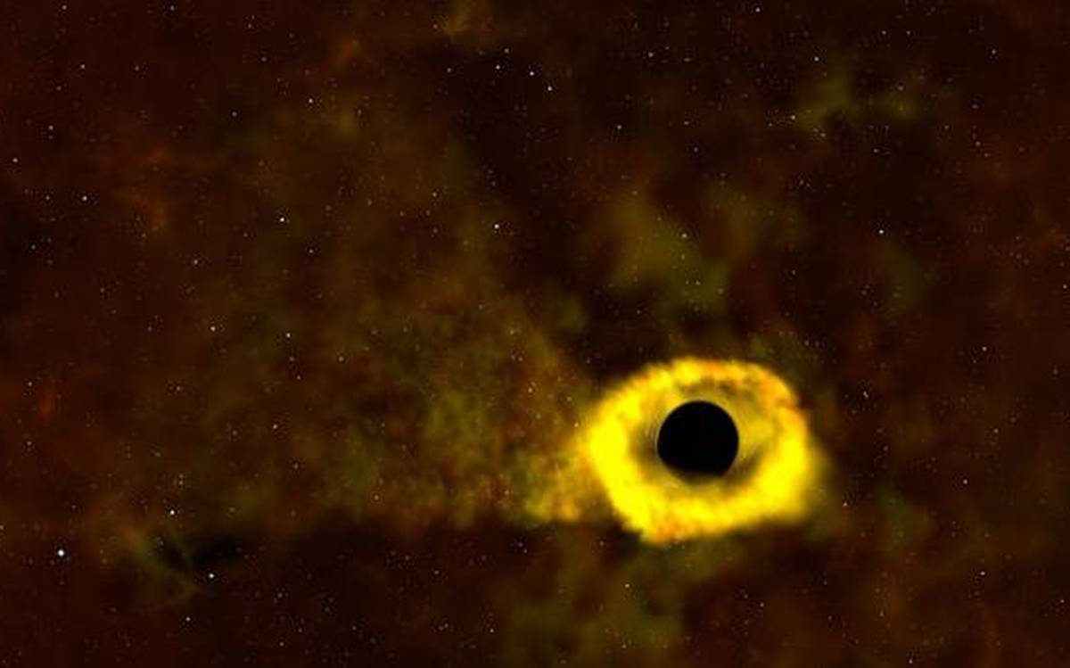 庞大而饥饿——2019年关于黑洞最主要的七个发现