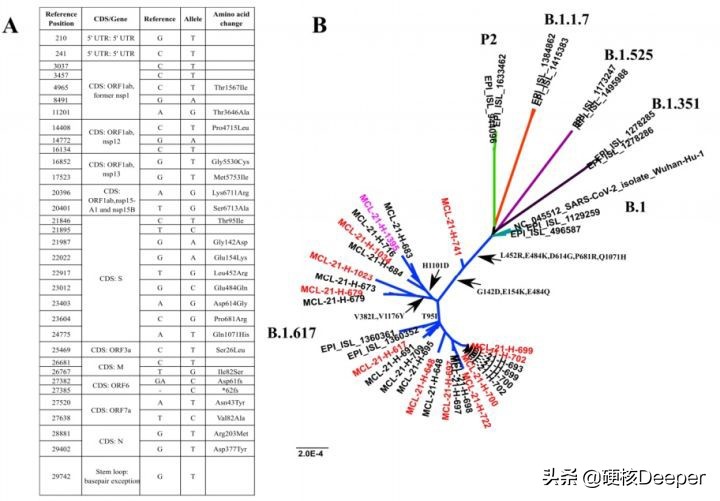 美国传染病学家命丢印度！全球对印度来客大封