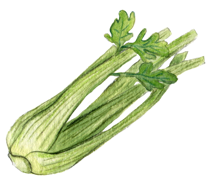 大错特错！富含膳食纤维的蔬菜不是芹菜！而是