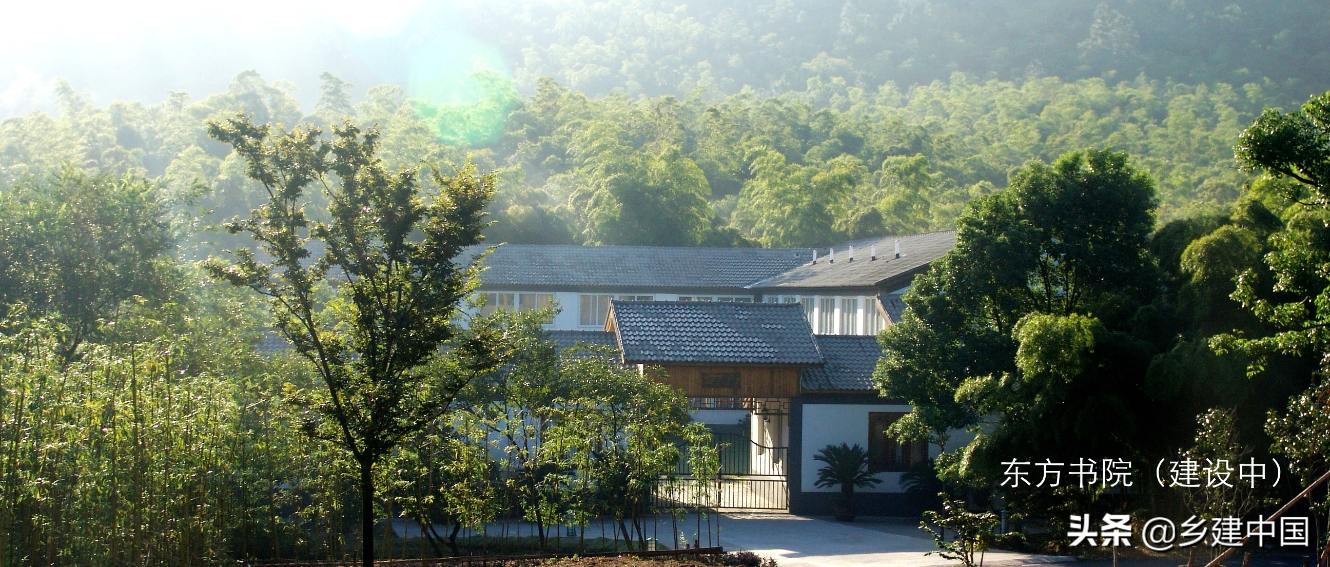 江阴市003号民宿——朝阳山庄：定山竹海里的康美基地