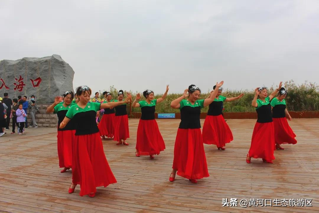【黄河口生态旅游区】喜迎国庆 精彩纷呈