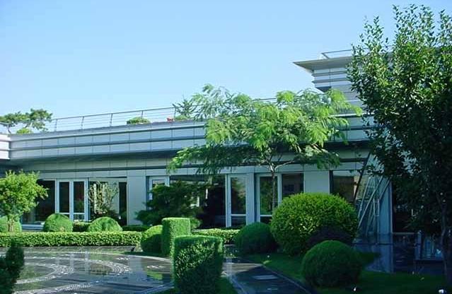 晴格格当红时息影，二十多岁傍富豪，表面风光