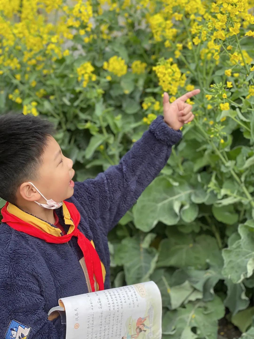 带上五官到校园里寻找春天——成都市华中附小大自然的语文课