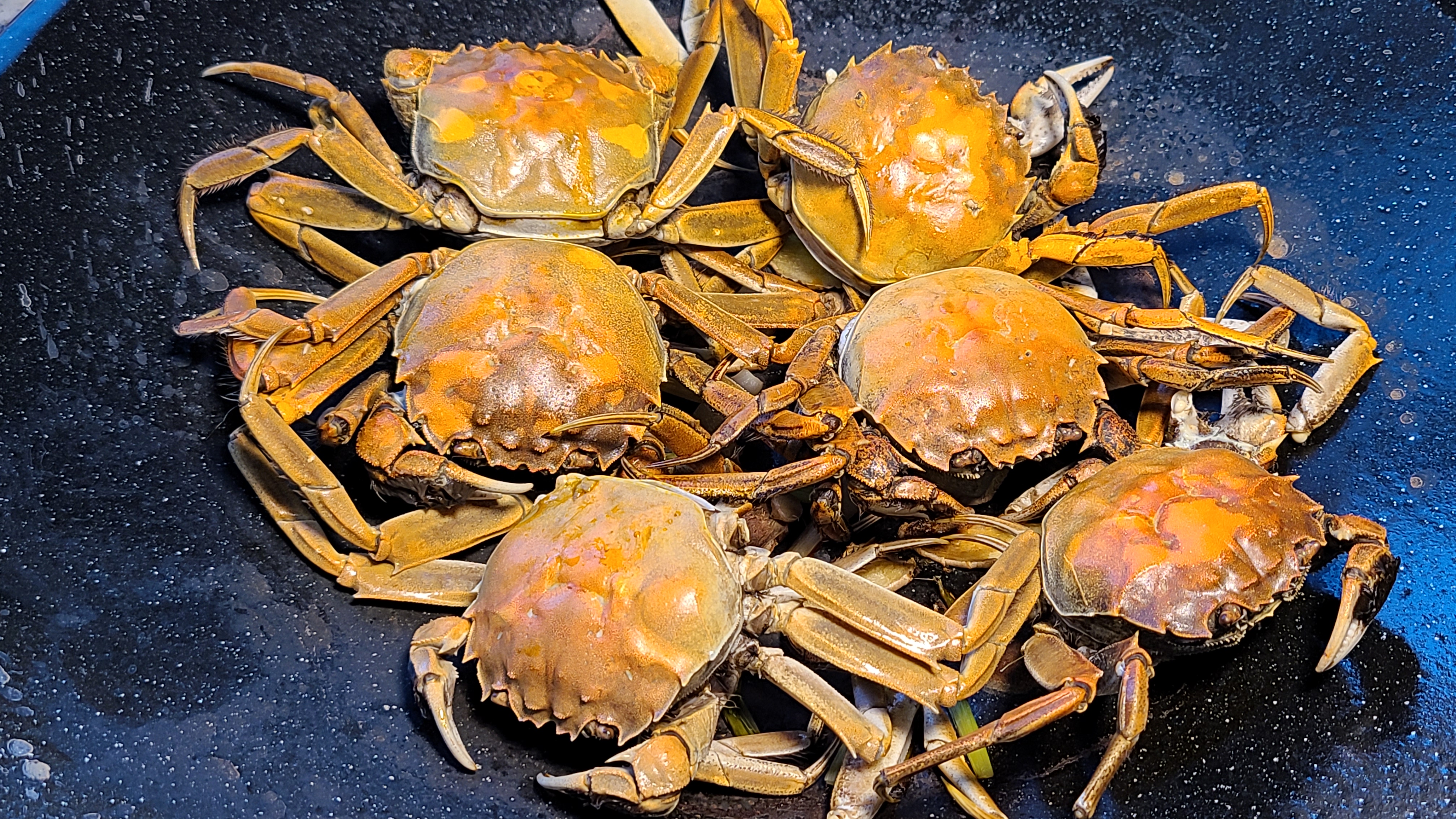 廣東焗螃蟹的做法，簡單好吃香味濃，滿滿的蟹黃看著就饞