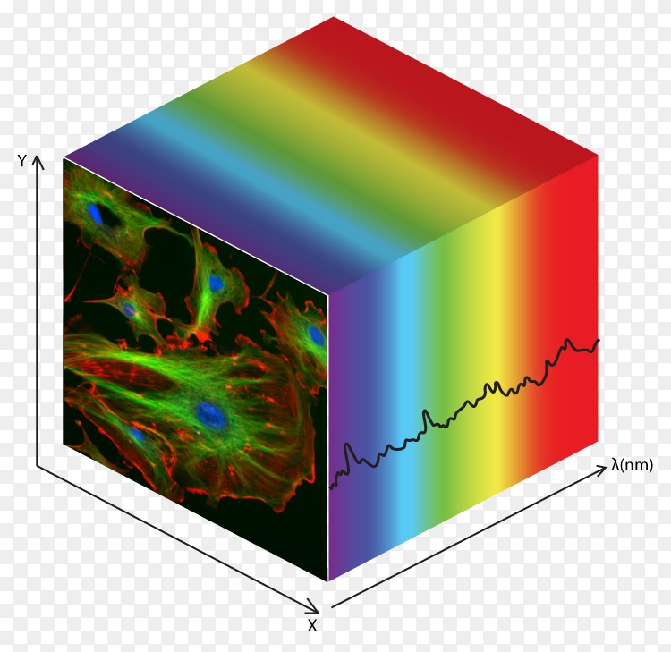 「量子力學」的本質，一篇文章讓您輕鬆讀懂什麽是「量子力學」