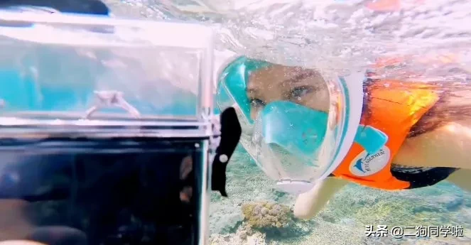 官宣！魏晨520晒结婚证宣布结婚！腾讯视频，前