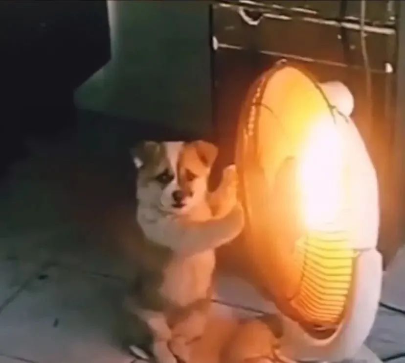 3招對抗冬季上火，口臭、便秘、口腔潰瘍都不見了