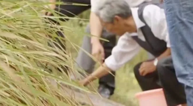 西藏特大发现，山壁上刻有失传已久的惊人历史