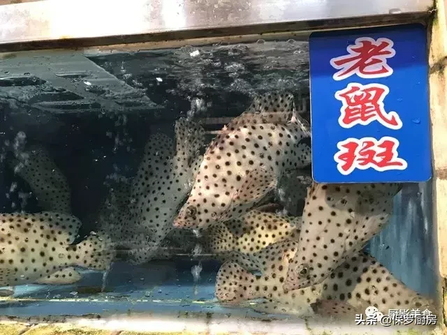 史上最全的顶级“海鱼”海鲜大全,全吃过的你人生就到达了巅峰!