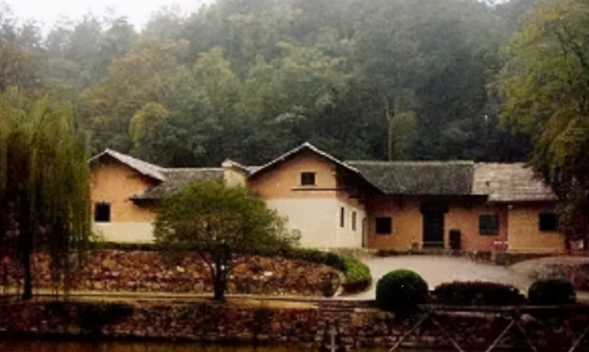 特务挖掘毛主席家祖坟，凶手作案后常做噩梦，群众举报后被判死刑