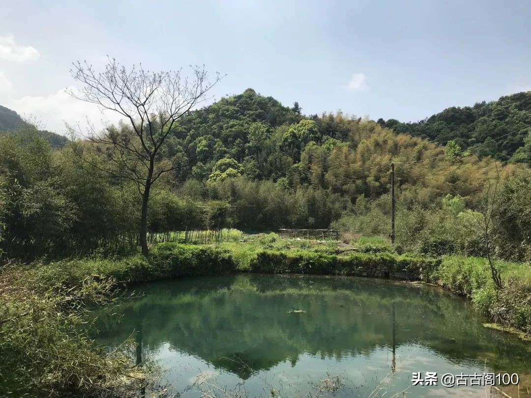 李兰娟是哪里人李兰娟院士的家乡夏履桥