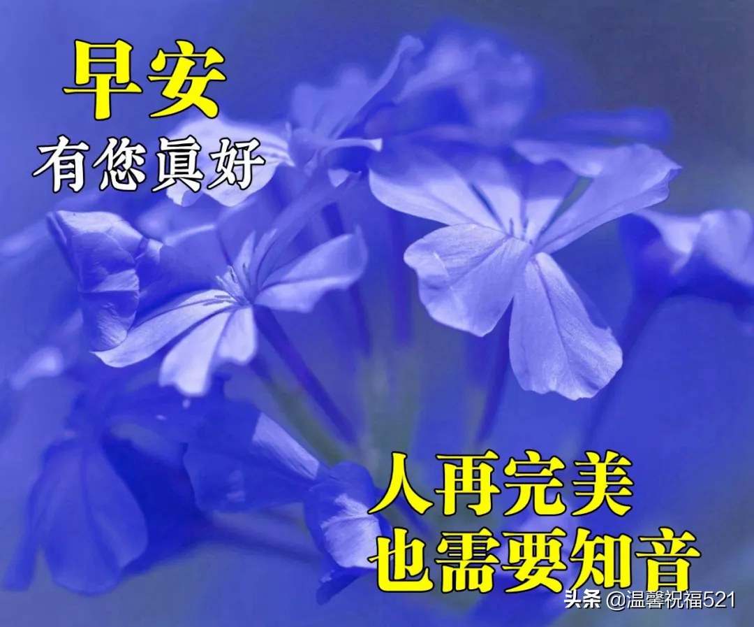 微商早安图片2021新图片 早上好唯美暖心问候语 图片