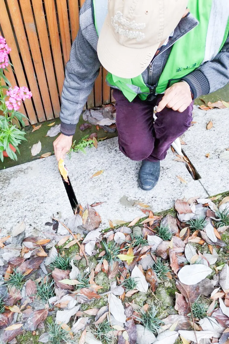 成都市双流区特殊教育学校开展爱国卫生运动