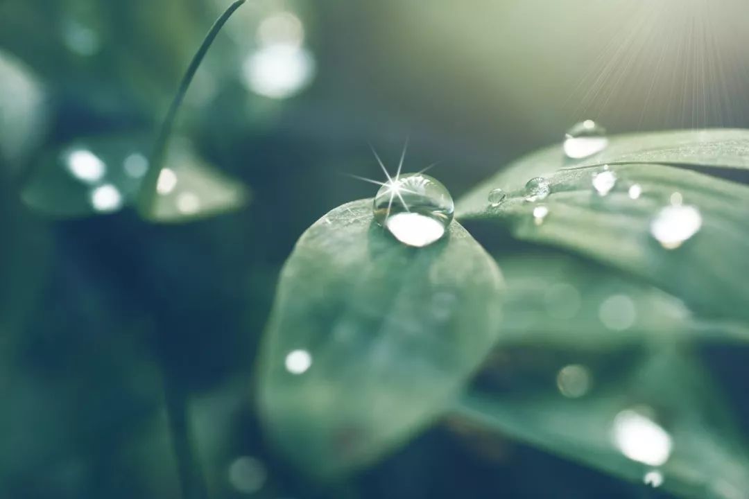 带你领略宋词中的四季之美-第10张图片-非凡网
