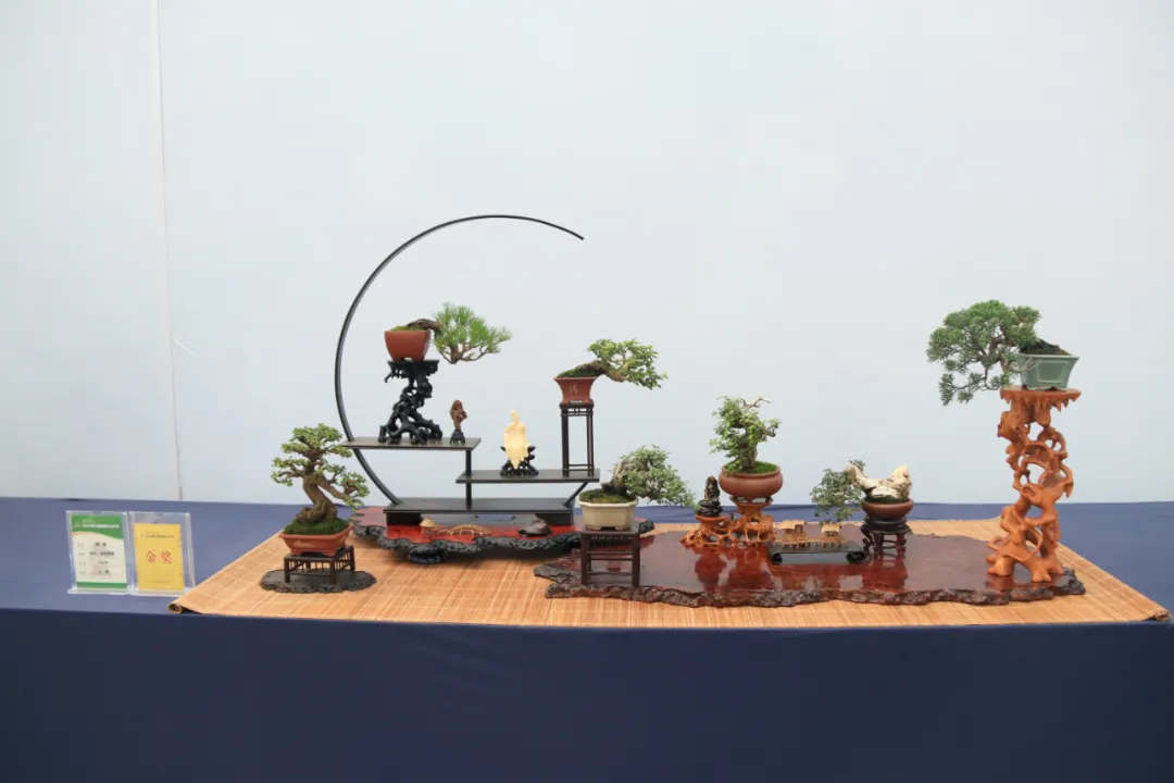 第九届沭阳花木节“精品盆景展”金奖作品来啦