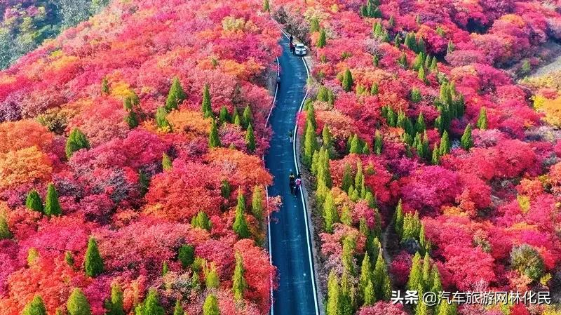 绿水青山带笑颜鲁商 • 红叶柿岩纯玩一日游