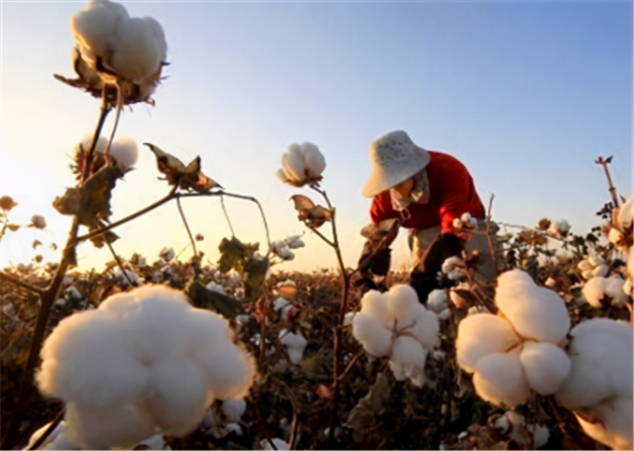 约翰逊输了？中国见招拆招进行反制，英国终于