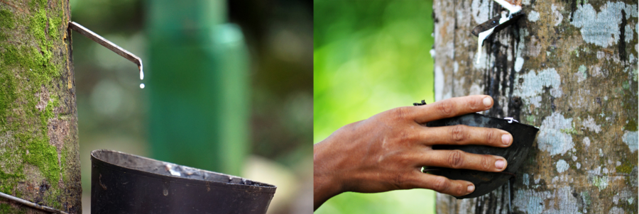 FSC认证在汽车行业的可持续实践