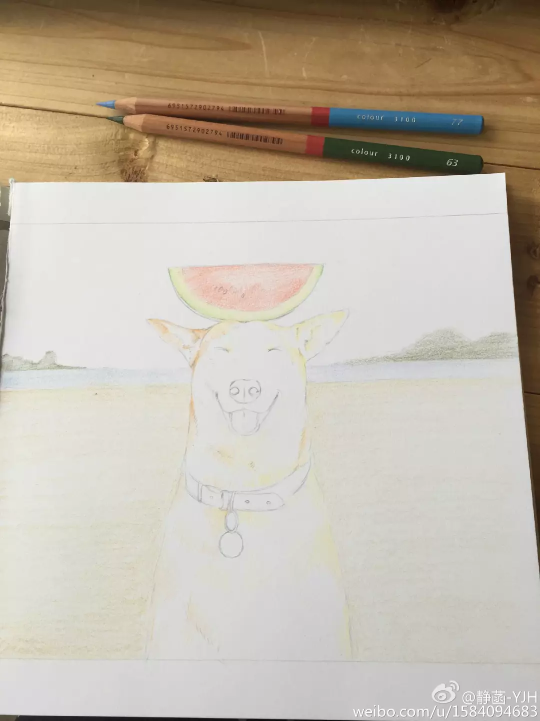 彩鉛動物入門教程｜可愛逗B狗(馬可帶色號)