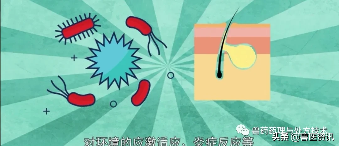 盐酸多西环素的这个独门绝技，开具处方时搭配好了治疗将如虎添翼