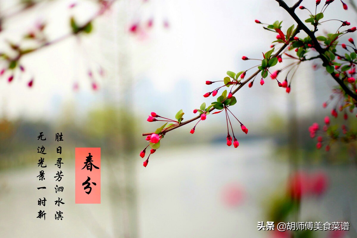 明天春分，記得吃1白2綠2紅，少食1樣，順應時節，家人都受益