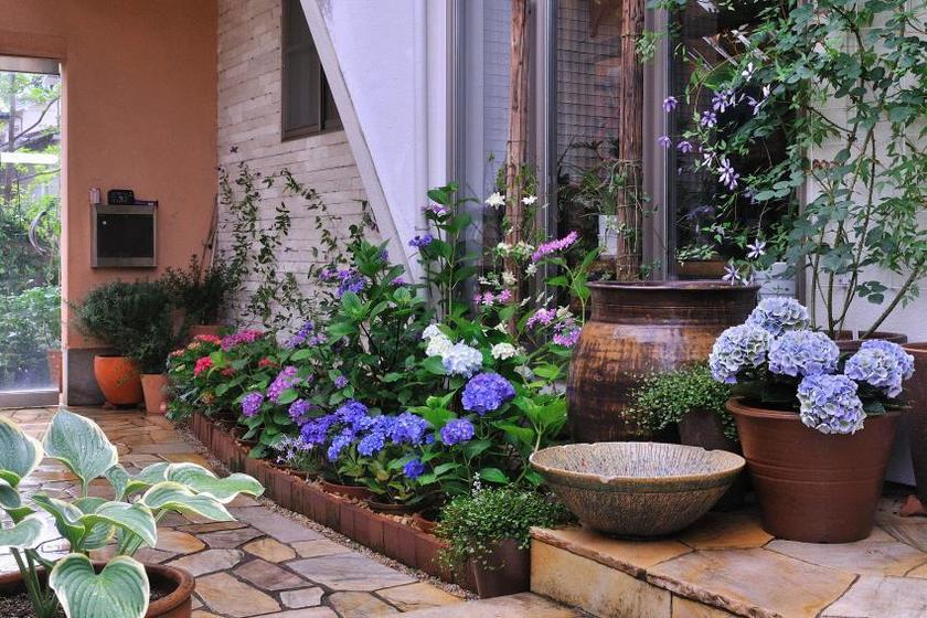 退休老爸捯饬小院 地里埋30个陶盆 墙根围出花坛又省钱又好看 Bierenjia De