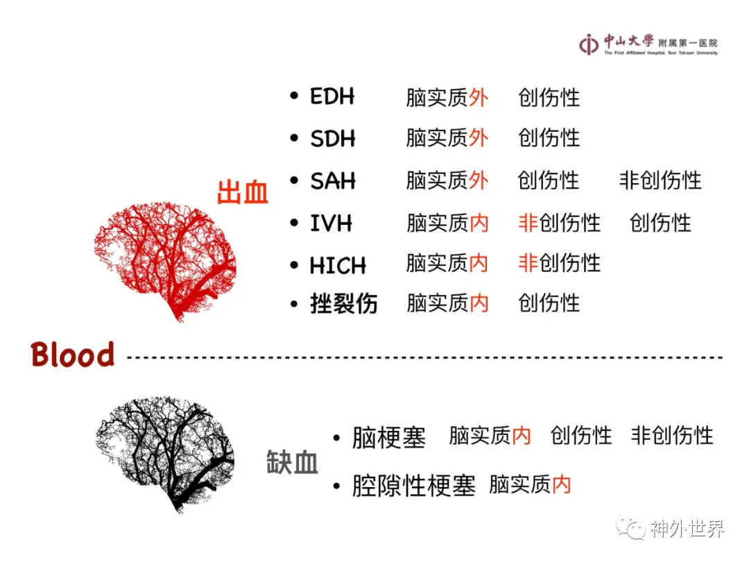 最全影像总结 | 颅内病变 MR、CT 的阅片技巧，太赞了