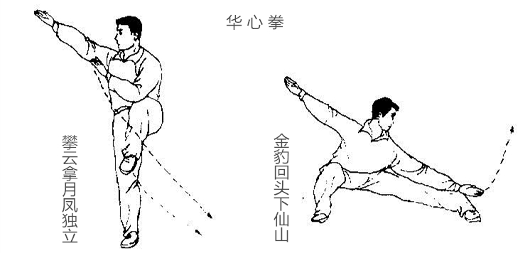 华人拳心武术文化招式之华心拳