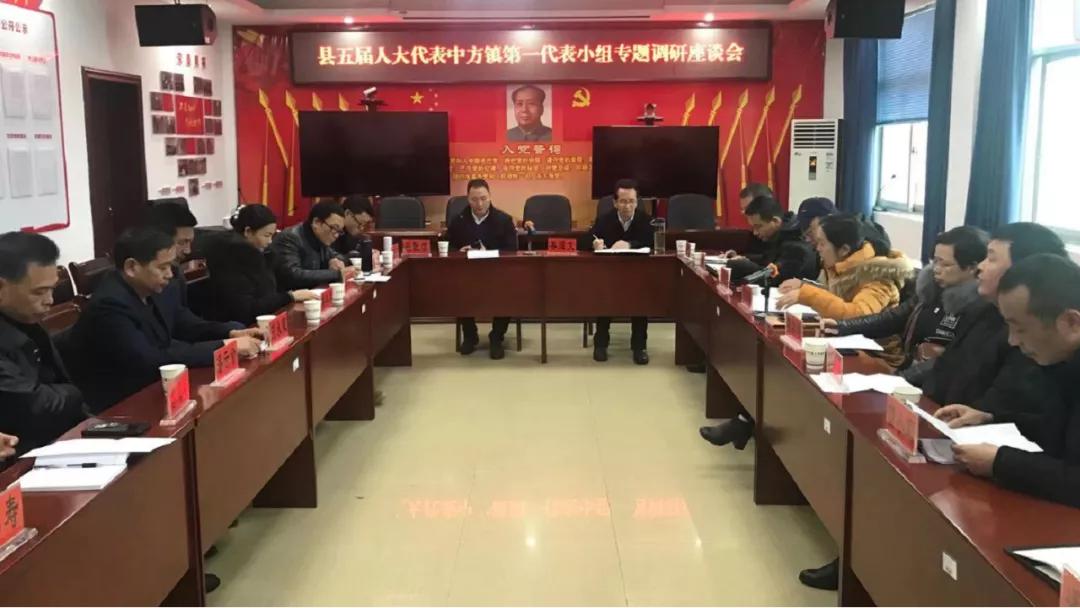 中方县五届人大代表中方镇第一代表小组专题调研民生实事项目票决制实施工作