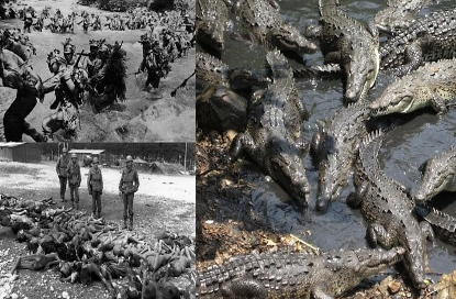 二战兰里岛，1000多名荷枪实弹的日军，为何会被鳄鱼吃光？