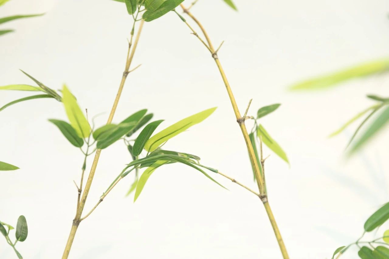 八首温柔诗词：愿被岁月温柔以待，不负流年-第2张图片-非凡网