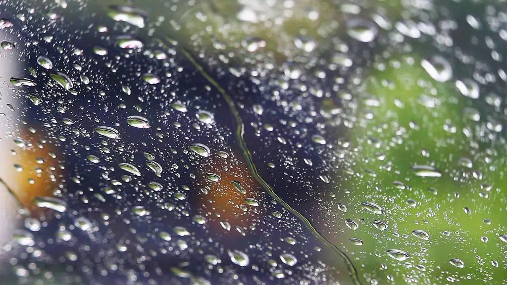 雨水｜一夜返青千里麦，万山润遍动无声