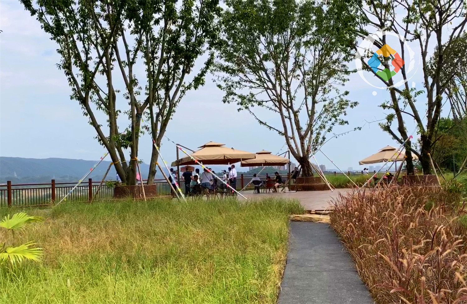 重庆广阳岛游玩攻略：一天逛完4大景点，美不胜收，拍照超好看