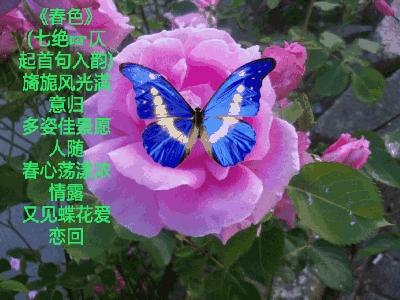 写给春天的情诗！-第12张图片-非凡网