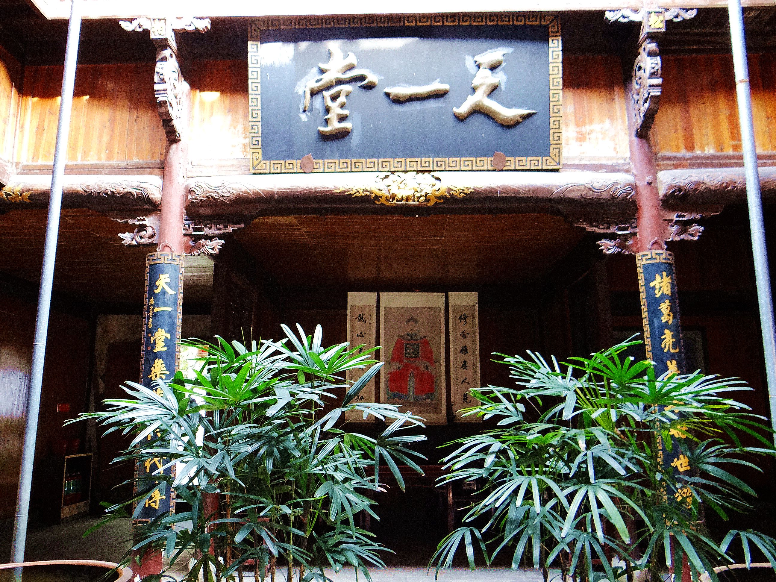 诸葛八卦村构建神奇，后世子孙多以医药为业，这是为了什么原因？