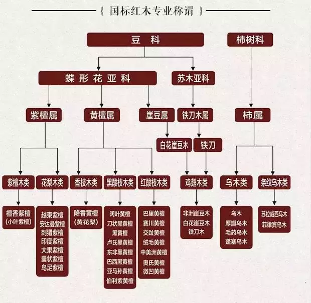 哪些学名才算是真正的红木？