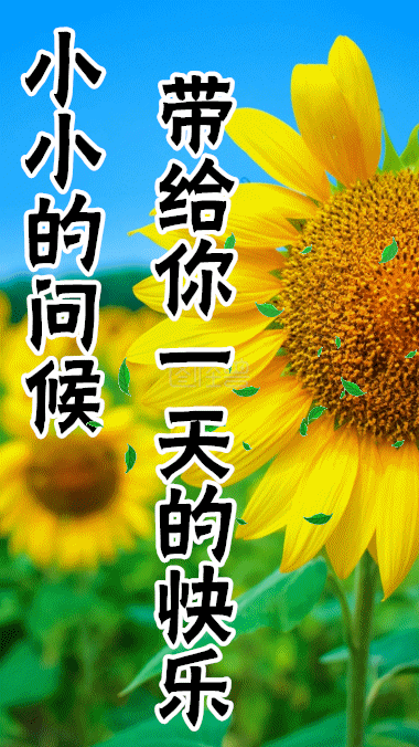 清晨问候早安的简短语句，新的一天早安祝福语精美语句图片