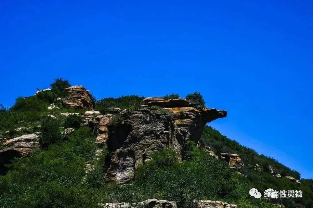 【陳嘉瑞】武帝山