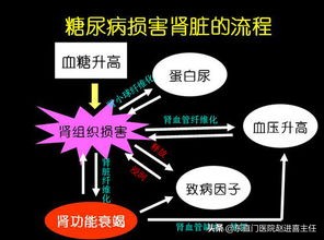 清补糖宁胶囊配合益气养阴、化瘀利湿汤剂治疗糖尿病肾病医案