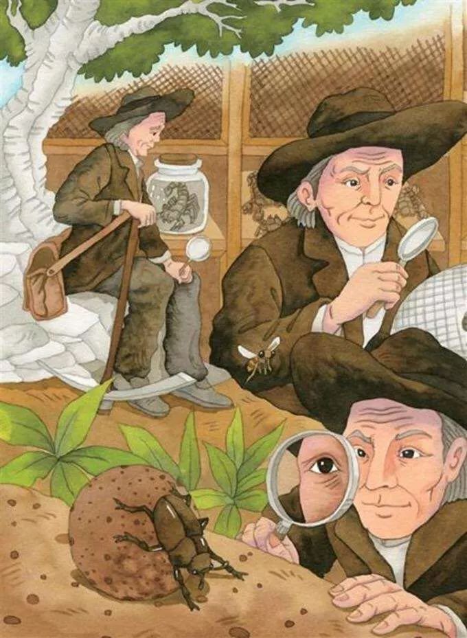 寫給青少年的趣味科普：月亮不掉落，陸地不沉海，領(lǐng)略地球變遷史