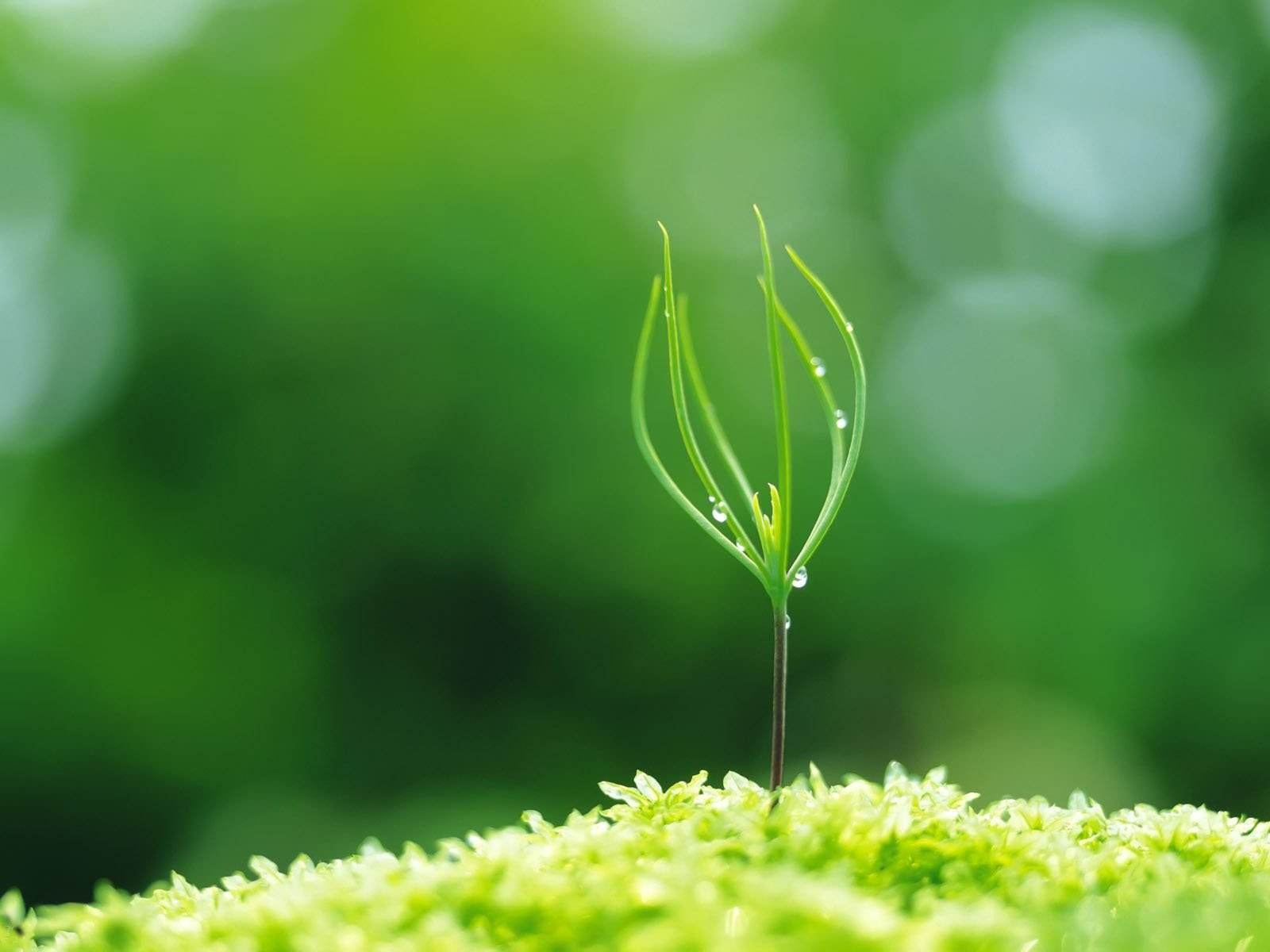 励志散文诗，沙砾变珍珠，破茧成蝶，过程却让人泪奔……-第2张图片-非凡网