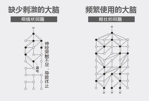 “3岁看大、7岁看老”：培养优秀孩子的奥秘，就在这个关键期里