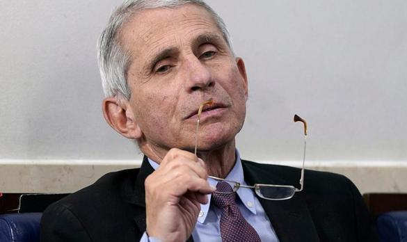 美國專家福奇透露一重大信息，華春瑩表態：中國願提供幫助