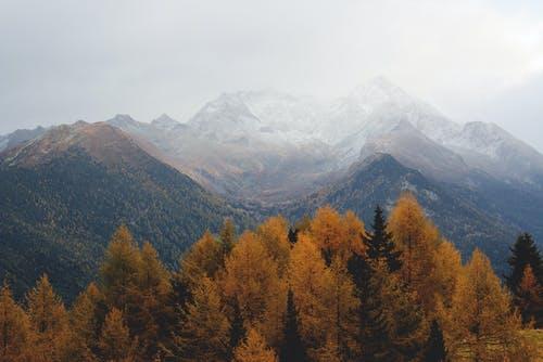 九首唯美秋天诗词：一年好景君须记，最是橙黄橘绿时