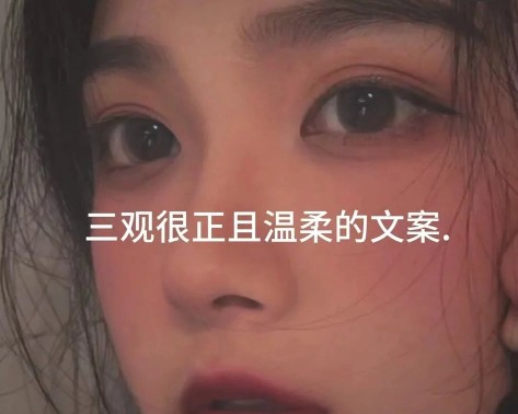 三观正且温柔的文案