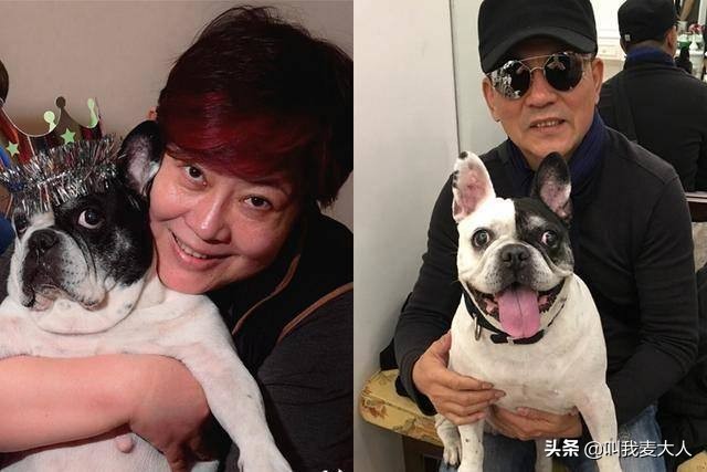 老戏骨孙淳：陪患病妻子35年零绯闻，一生丁克无子，晚年和狗相伴