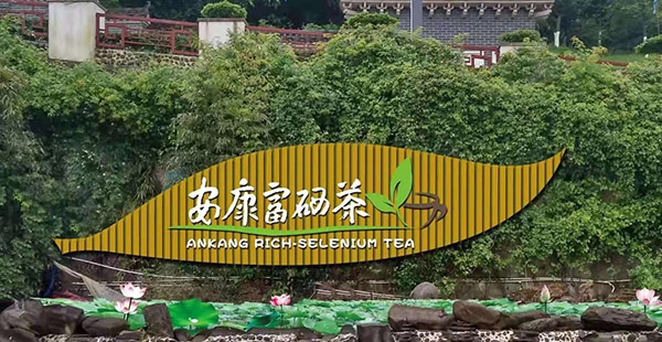 扶持300万！汉滨区着力打造中国富硒茶交易中心