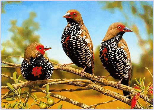 早安|大年十三早安图片日签正月十三阳光图片带字 2月6问候祝福美图