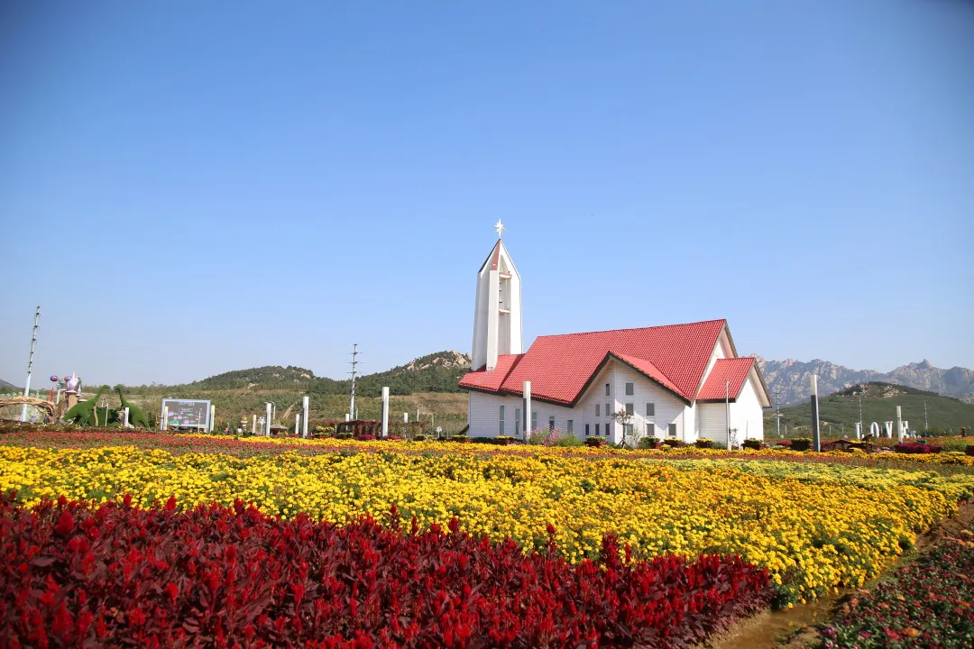 西海岸影视外景地系列青岛西海岸生态观光园沉醉于花香世界的梦幻庄园