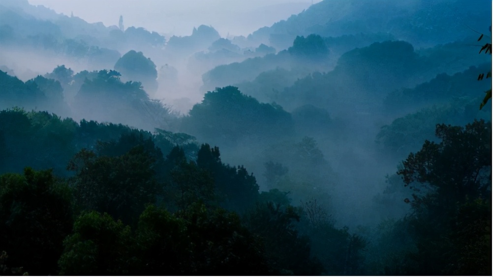 在南京，核芯区域的山居别墅到底有多稀缺？
